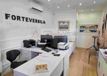 Foto 4 - Terreno edificabile Forte dei Marmi - foto 3