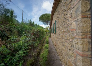 Foto 55 - Rustico Volterra - foto 55