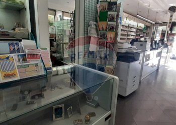 Dispensa di stoccaggio - Attività Commerciale VIA PICENA
192/C, Chieti - foto 7