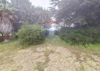 Giardino - Independent house Strada Leverano Pittuini
 
snc, Nardò - photo 4