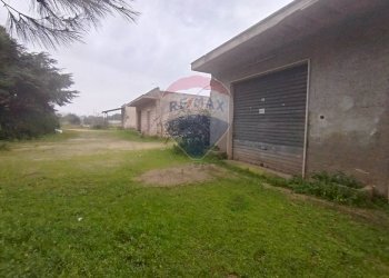 Giardino - Independent house Strada Leverano Pittuini
 
snc, Nardò - photo 5