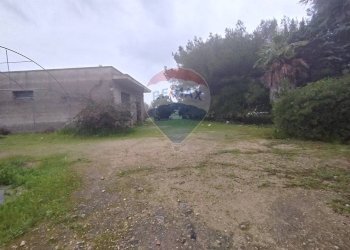 Giardino - Independent house Strada Leverano Pittuini
 
snc, Nardò - photo 9