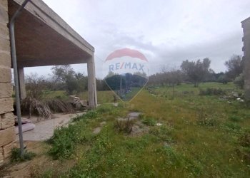 Giardino - Independent house Strada Leverano Pittuini
 
snc, Nardò - photo 11