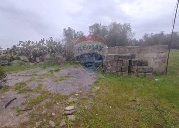 Giardino - Independent house Strada Leverano Pittuini
 
snc, Nardò - photo 12