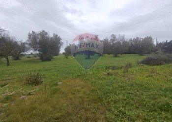 Giardino - Independent house Strada Leverano Pittuini
 
snc, Nardò - photo 13