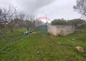 Giardino - Independent house Strada Leverano Pittuini
 
snc, Nardò - photo 15