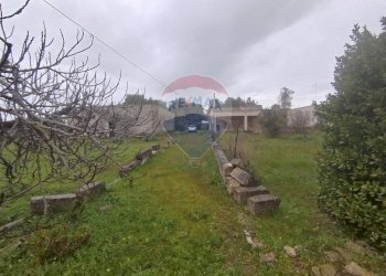 Giardino - Independent house Strada Leverano Pittuini
 
snc, Nardò - photo 16