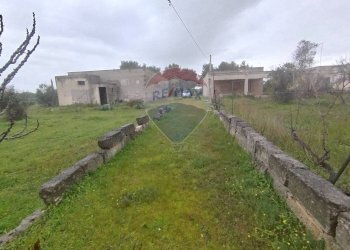 Giardino - Independent house Strada Leverano Pittuini
 
snc, Nardò - photo 17