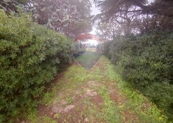 Giardino - Independent house Strada Leverano Pittuini
 
snc, Nardò - photo 19