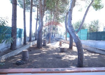 Edificio all\'aperto - Villa contrada sicciarotta bassa, Balestrate - photo 41