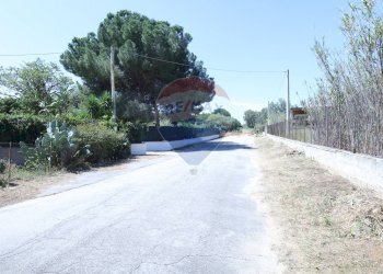 Non correlato - Villa contrada sicciarotta bassa, Balestrate - photo 54