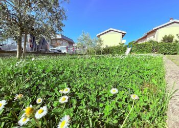 Foto 27 - Trilocale Via Puccini
 
57, San Giovanni Teatino - foto 27