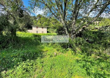 Foto 27 - Rustico via case di gallè, Pietrasanta - foto 27