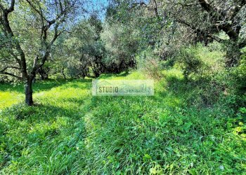 Foto 28 - Rustico via case di gallè, Pietrasanta - foto 28