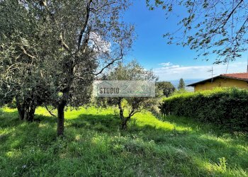 Foto 29 - Rustico via case di gallè, Pietrasanta - foto 29