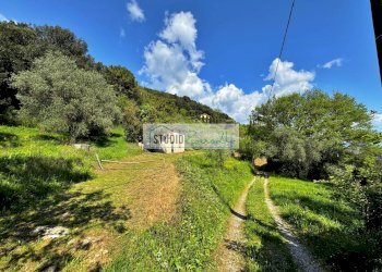 Foto 31 - Rustico via case di gallè, Pietrasanta - foto 31