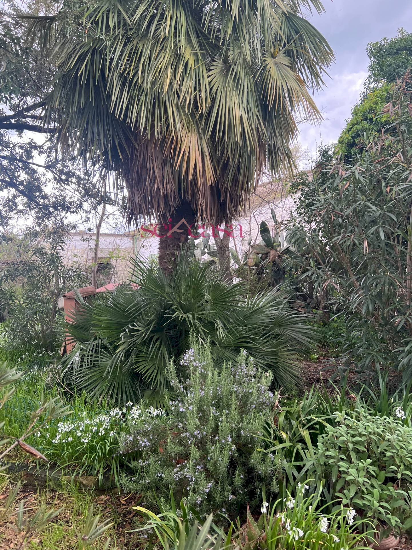 Foto 3 - Rustico Roccastrada - foto 3