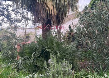 Foto 3 - Rustico Roccastrada - foto 3