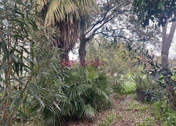 Foto 4 - Rustico Roccastrada - foto 4