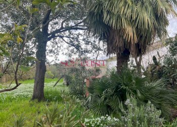 Foto 5 - Rustico Roccastrada - foto 5