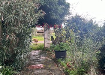 Foto 9 - Rustico Roccastrada - foto 9