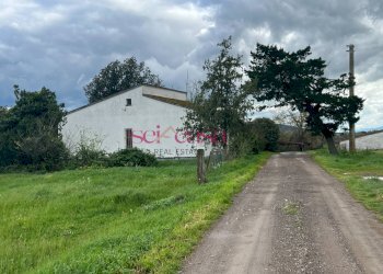 Foto 18 - Rustico Roccastrada - foto 18