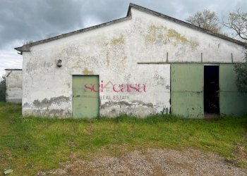 Foto 19 - Rustico Roccastrada - foto 19