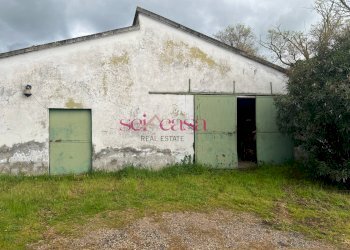 Foto 20 - Rustico Roccastrada - foto 20