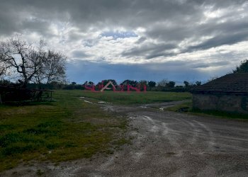 Foto 22 - Rustico Roccastrada - foto 22