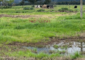 Foto 24 - Rustico Roccastrada - foto 24