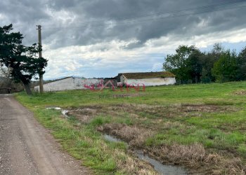 Foto 26 - Rustico Roccastrada - foto 26