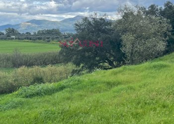 Foto 27 - Rustico Roccastrada - foto 27