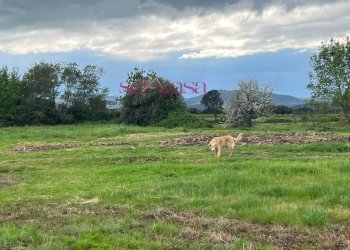 Foto 28 - Rustico Roccastrada - foto 28