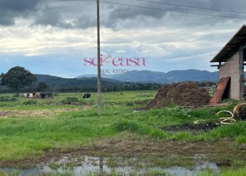 Foto 29 - Rustico Roccastrada - foto 29