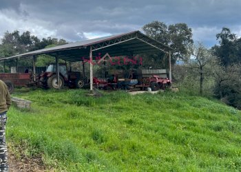 Foto 32 - Rustico Roccastrada - foto 32