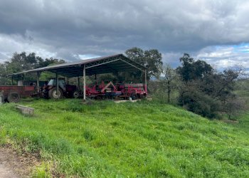 Foto 33 - Rustico Roccastrada - foto 33