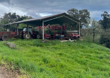 Foto 34 - Rustico Roccastrada - foto 34