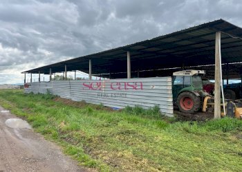 Foto 35 - Rustico Roccastrada - foto 35