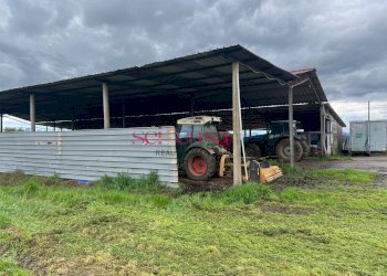 Foto 36 - Rustico Roccastrada - foto 36