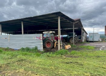 Foto 37 - Rustico Roccastrada - foto 37