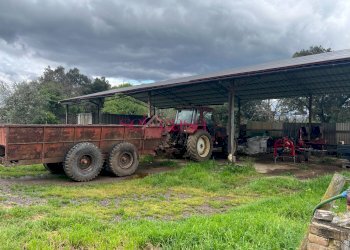 Foto 38 - Rustico Roccastrada - foto 38