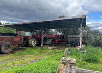 Foto 39 - Rustico Roccastrada - foto 39