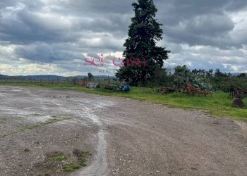 Foto 40 - Rustico Roccastrada - foto 40