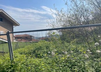 Foto 6 - Terreno edificabile Via Grassi, Acquaviva Picena - foto 6