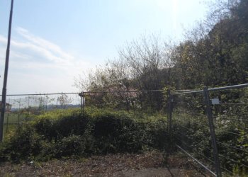 Foto 9 - Terreno edificabile Via Grassi, Acquaviva Picena - foto 9