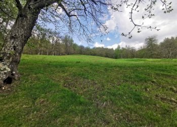 Terreno - Rustic SP164, Pamparato - photo 7