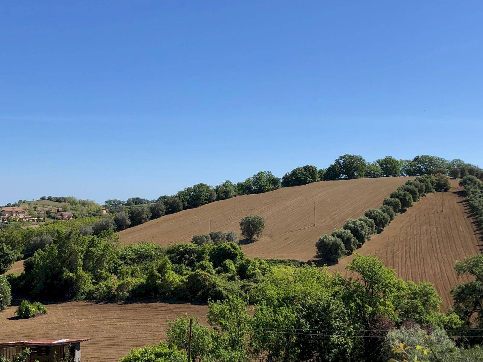 Foto 1 - Agricultural land Controguerra - photo 1