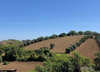 Foto 1 - Agricultural land Controguerra - photo 1