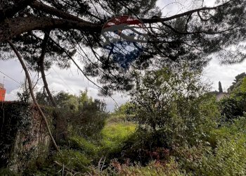 Giardino - Terreno edificabile Via Calatafimi, Mascalucia - foto 4