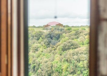 Dettagli - Trilocale Via Guglielmo Marconi
 
19, Ischia di Castro - foto 10